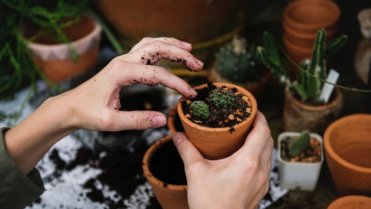 Jardinería